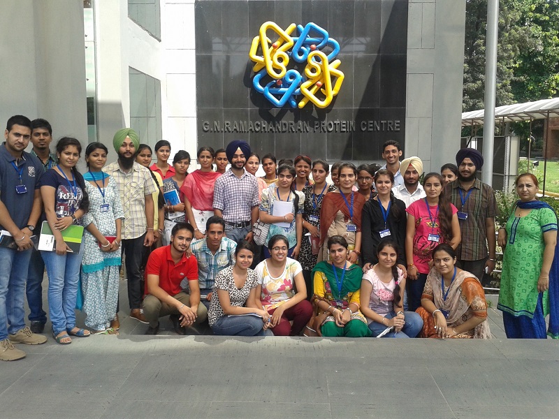Activity Picture 3